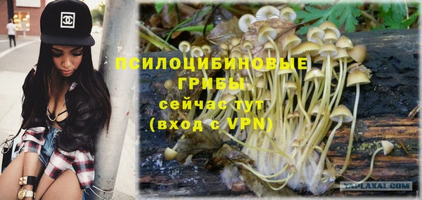 ALPHA PVP Баксан