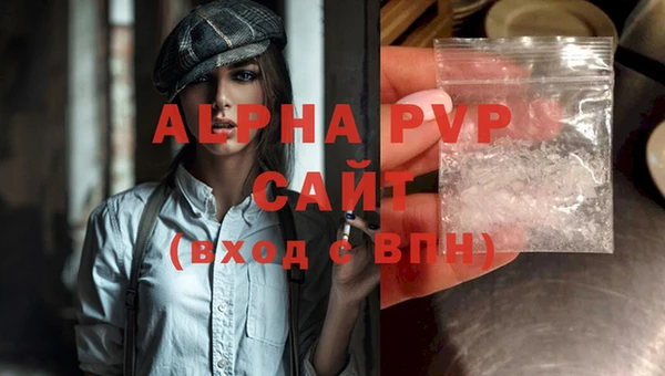 индика Новокубанск