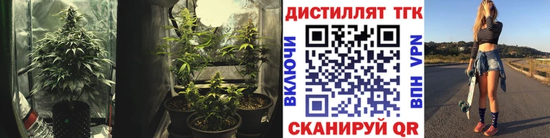 Дистиллят ТГК гашишное масло Верхнеуральск